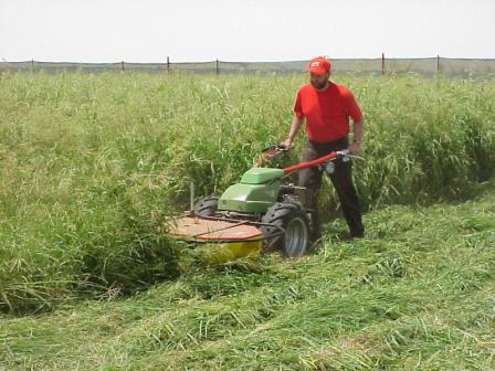 Drum mower