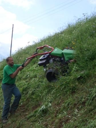 rapid swiss banks tractor