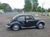 Beetle